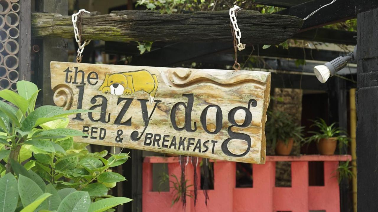 Lazy Dog Bed&Breakfast Balabag  Zewnętrze zdjęcie